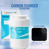 Filters Fast® PH21100 Replacement for GE MWF