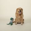 Fringe Studio Plush Dog Toy, It's 5 O'CLOCK Somewhere (289806)