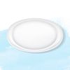 Secret Balanced Invisible,Blue 2.6 oz Blue