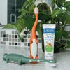Dr. Brown's HG025-P4 Toothpaste