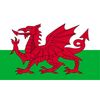 CafePress Wales Oval Car Bumper Sticker