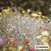 Gardena adapter: thread adapter for connecting internal thread (G 1 inch) to external thread (G 3/4 inch) for irrigation systems (5305-20)