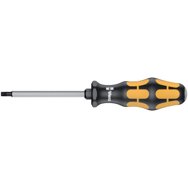 977 TORX 25 x 100 mm