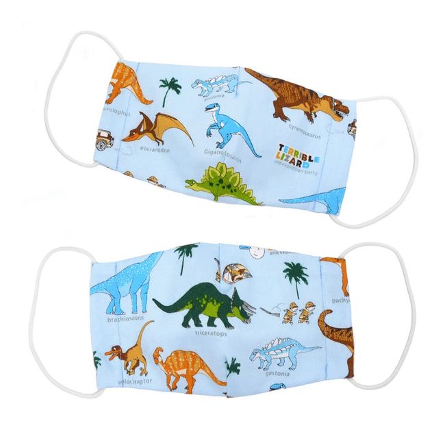 COLORFUL CANDY STYLE N5310702 Mask, For Kids, Boys, 2-Piece Set, Washable, 3D Fabric, Antibacterial, Small, Discovery! Explore! Dinosaur Continent (Light Blue)