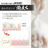 Persimmon and Spun 柿渋 Formula Body Soap 480ml