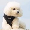 Mr. Peanut's PupTrek Small Dog/Cat Soft Mesh Step in Harness Vest (Small, Black)