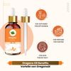 Crysalis Oregano Oil 30 ml