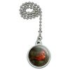 GRAPHICS & MORE Northern Cardinal Red Pine Perch Ceiling Fan and Light Pull Chain