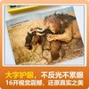 美国国家地理英语分级读物 第4级（24册套装）