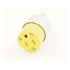 Leviton
