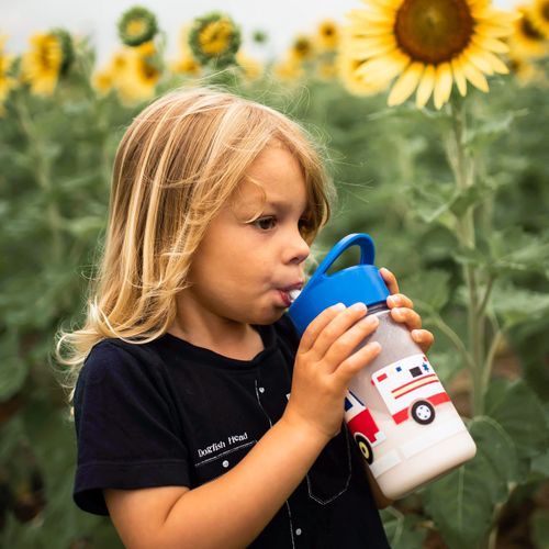 Wildkin Kids Reusable 16 Ounce Water Bottle for Boys and Girls, Features Straw Top and Carrying Handle, Ideal Size for School or Travel, Easy to Clean (Dinosaur Land)