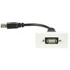 Ex-Pro Single USB2.0 Type-A Socket Port Module Cable Oulet Socket for Wall Plate Frame Faceplate - 10 Pack