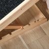 Elevated Pet Ramp for Dogs, Cats, Rabbits, Height Adjustable and Foldable