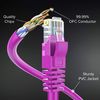 Maximm Cat 6 Ethernet Cable 5 Ft, 100% Pure Copper, (10 Pack) LAN Cable, Patch Cable and Network Cable - UTP (Pink) 5 Feet