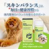 Dr. By Skin Probe Biotics Dog Supplement