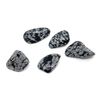 Snowflake Obsidian Small Crystal Tumbled Stones- 5 Pc