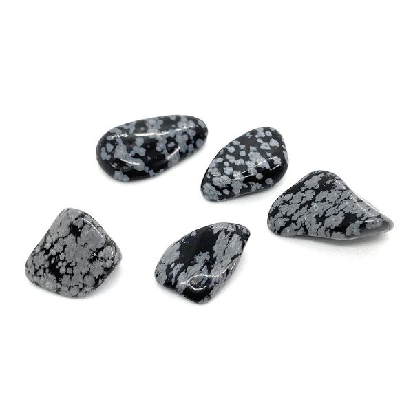 Snowflake Obsidian Small Crystal Tumbled Stones- 5 Pc