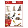 Realistic Pet Themed Gomets 2 Sheets