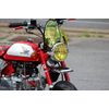 MINIMOTO NO5596 Iron Protector for Monkey Headlights Silver