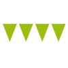 Bunting XL Green 10 metres long, 15 Triangle Flags, Plastic
