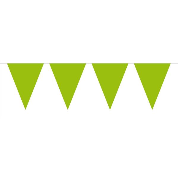 Bunting XL Green 10 metres long, 15 Triangle Flags, Plastic