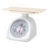 analog letter scale ka-lt10