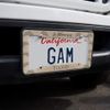 GRAPHICS & MORE Personalized Custom 1 Line Dog Memorial License Plate Clear Frame