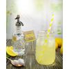 Penny & Rose Surface Cleaner | Lawn Chair Lemonade Scent