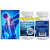Shark Cartilage X 60 Capsules Therapy Renew Bee Pain Control