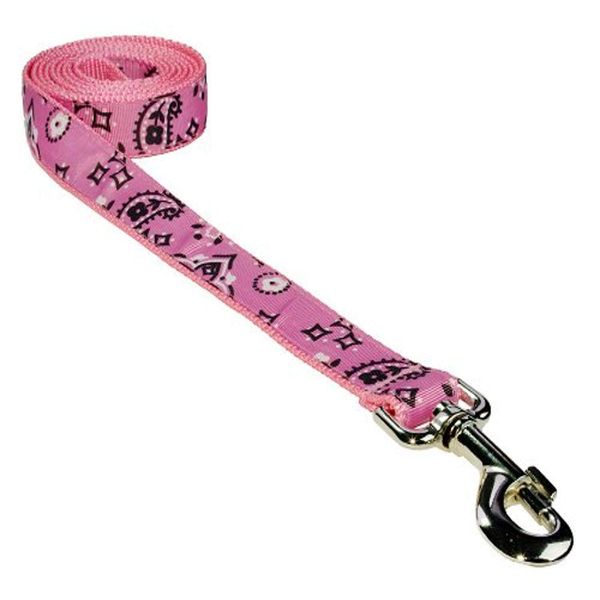 Large Pink Bandana Dog Leash: 1" Wide, 6ft Length - Made in USA.