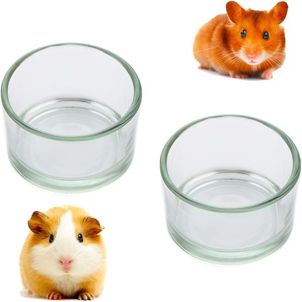 2 Pcs Hamster Food and Water Bowl Glass Anti-Turning Transparent Dish for Hamste