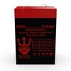 Neptune 6v 4.5ah Replacement Battery for American Hunter DE-30008 2 Pack