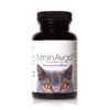 AminAvast Kidney Support Feline, 60 Capsules