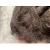 heidifeathers Carded Wool Batts - Core Wool (200g (Large), Black)