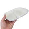 Snoopy (Medium Plate) PET Square One Plate / STUDY Peanuts