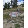 Montana Decoy Quickstand
