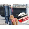 ASHU Walking Goods uxeaha-nesubo-da- Lead Size: M RED
