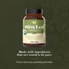 Organic Olive Leaf Capsules - 550mg, 100 Count, 1100mg per Serving