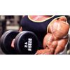 tribulus terrestris extract - TRIBULUS TERRESTRIS 1000mg 180 Tablets - bodybuild