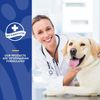 NaturVet Stool Ease Stool Softener Plus Pumpkin for Dogs 40 Soft Chews