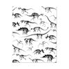 Dinosaur Fossils Wrapping Paper 1 x Gift Wrap Sheet