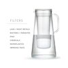 Lifestraw Premium 10 Cup Water Filter Pitcher Removes Bacteria And Microplastics