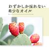 Natural Cosmetics Laboratory Organic Prickly Pear Oil, 1.0 fl oz (30 ml)