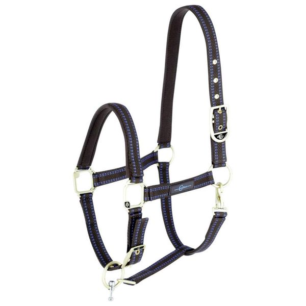 Horse Halter for Goleygo System, Brown/Light Blue, Shetty