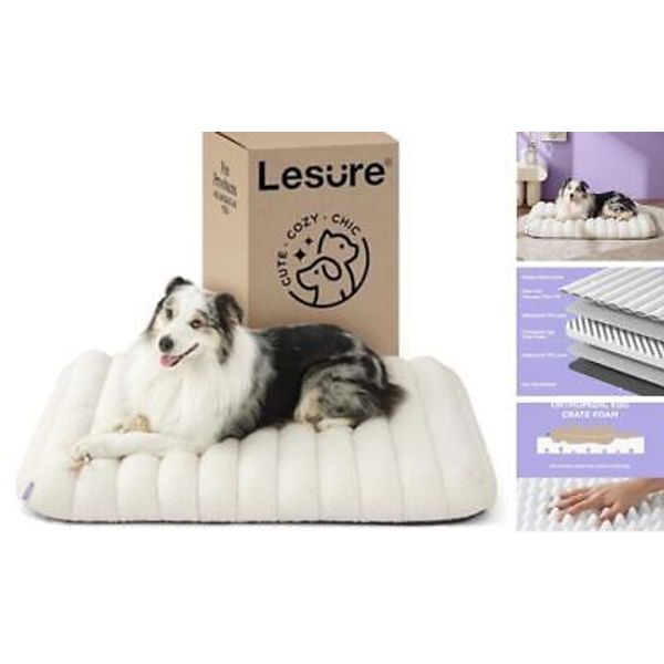 Lesure 4 Inch Thick Orthopedic Foam Dog Bed for 36.0"L x 27.0"W x 4.0"Th Cream