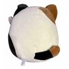 Squishmallow 12" Valentines Cam The Cat