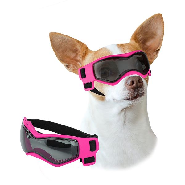 Lesypet Dog Goggles Small Breed, Dog Sunglasses UV Protection Wind Protection for Small Dogs Outdoor, Small