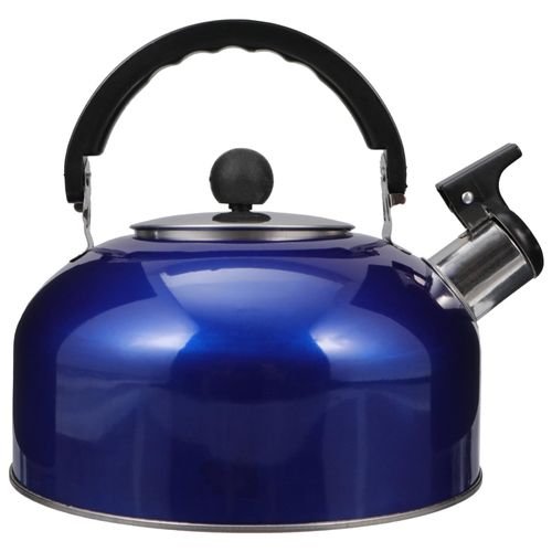 HOLIDYOYO Whistling Tea Kettle 2L Stainless Steel Stovetop Kettle in Blue - Ergonomic Handle for Easy Boiling for Home Kitchen Use