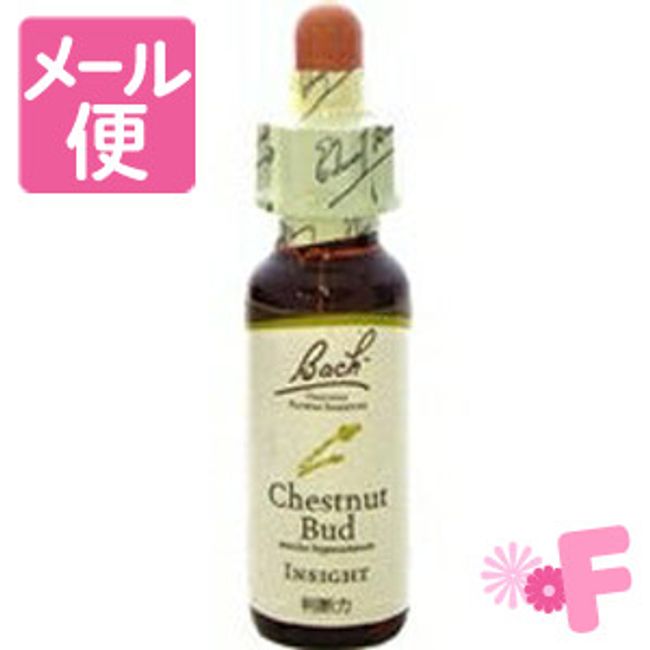 Bach Flower Chestnut Butt 10mL [Nekopos compatible]