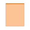 Vinyl Take-Home Folder - Orange (Pack of 24)